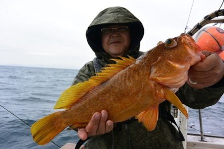 宝生丸 釣果