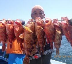 石川丸 釣果