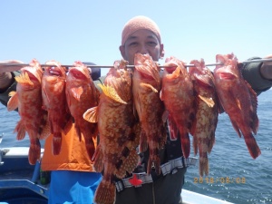 石川丸 釣果