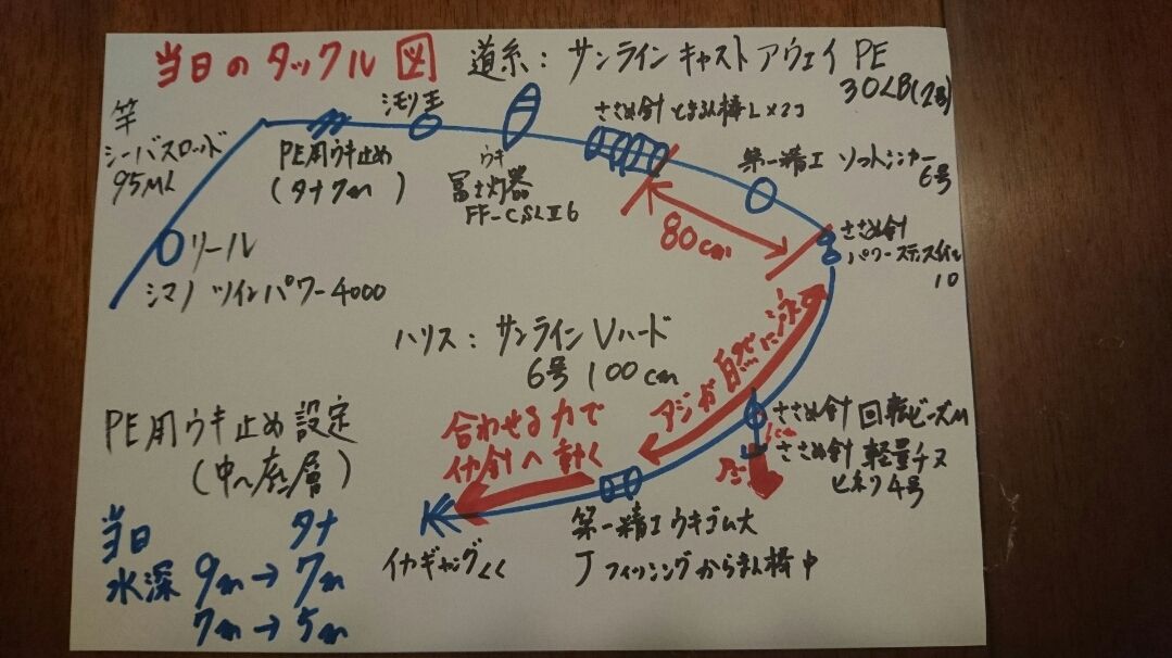 アオリイカ　ＧＷ釣行記【角田裕介氏連載記事浮きアオリイカ釣り 第19弾】