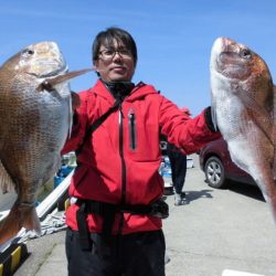 大進丸（新潟） 釣果