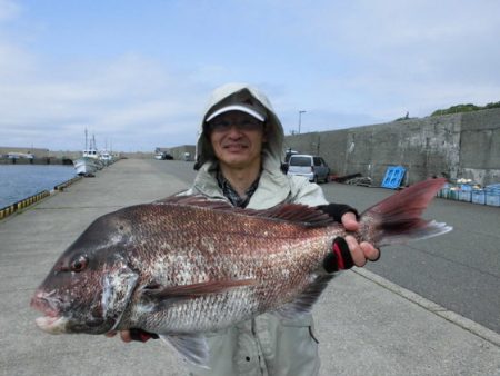 大進丸（新潟） 釣果