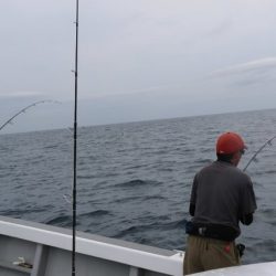 へいみつ丸 釣果