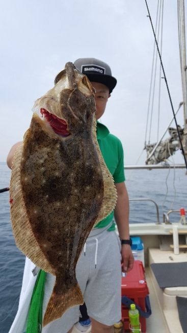 海峰 釣果