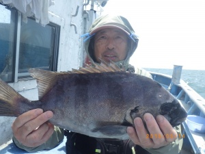 石川丸 釣果