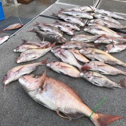 幸風（さちかぜ） 釣果