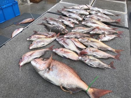 幸風（さちかぜ） 釣果