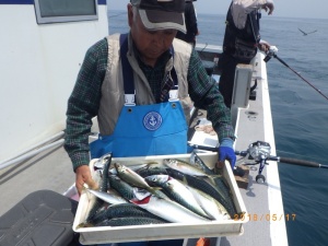 石川丸 釣果