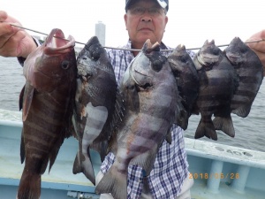 石川丸 釣果