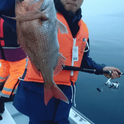 遊漁船ブルーウッズ 釣果