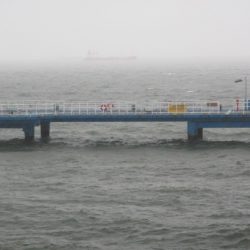 オリジナルメーカー海づり公園(市原市海づり施設) 釣果