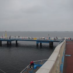 オリジナルメーカー海づり公園(市原市海づり施設) 釣果