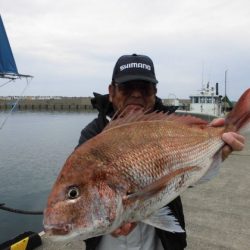 大進丸（新潟） 釣果