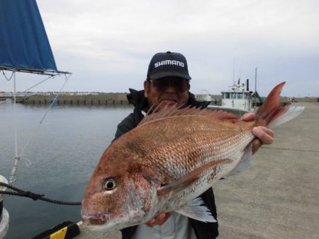 大進丸（新潟） 釣果