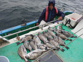 久里浜黒川本家 釣果