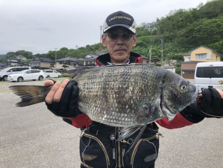 由良渡船 釣果