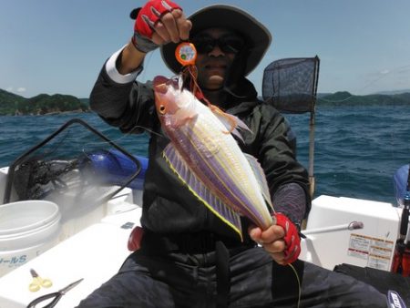 開進丸 釣果