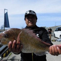 大進丸（新潟） 釣果