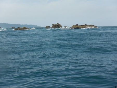 開進丸 釣果