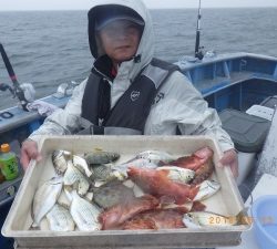 石川丸 釣果