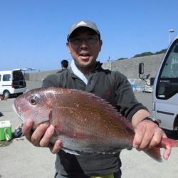 大進丸（新潟） 釣果