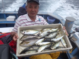 石川丸 釣果