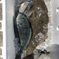 たく丸 釣果