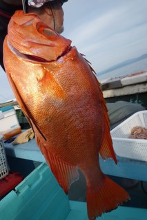 松福丸 釣果