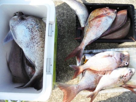 初栄丸 釣果