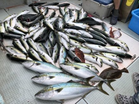 ふじしめ丸 釣果