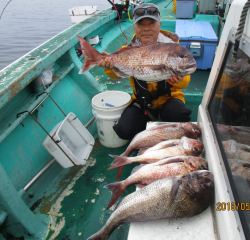 なかくに丸 釣果