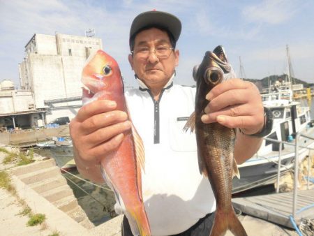 大進丸（愛知） 釣果