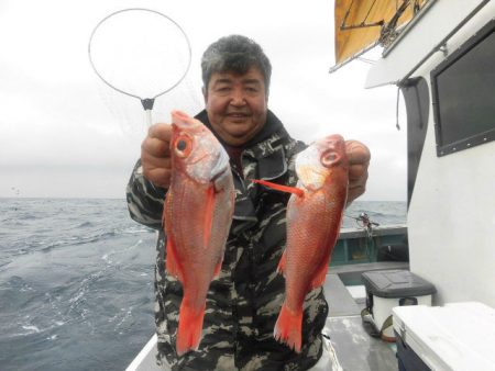 大進丸（愛知） 釣果