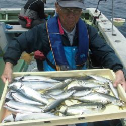 大進丸（愛知） 釣果