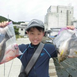 大進丸（愛知） 釣果