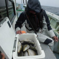 大進丸（愛知） 釣果