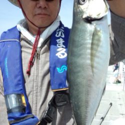 泰丸 釣果