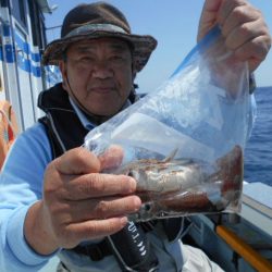 大進丸（愛知） 釣果