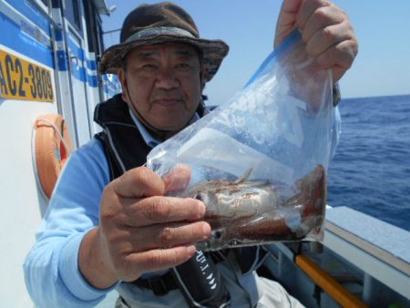 大進丸（愛知） 釣果