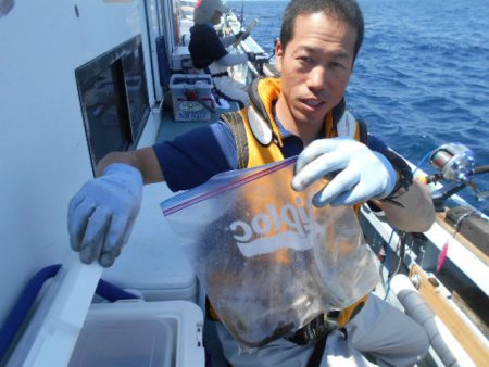 大進丸（愛知） 釣果