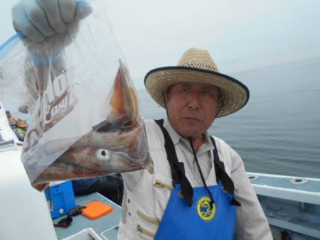 大進丸（愛知） 釣果