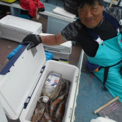 大進丸（愛知） 釣果