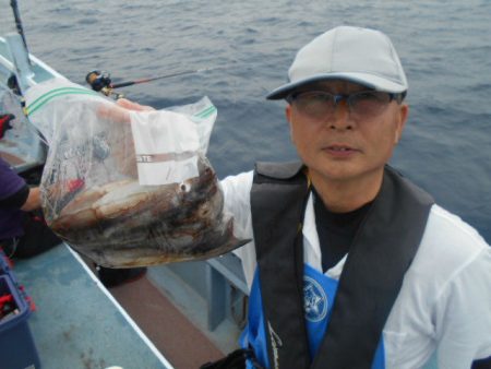 大進丸（愛知） 釣果