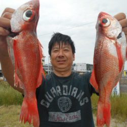 大進丸（愛知） 釣果