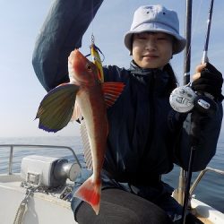 フィッシングボート空風（そらかぜ） 釣果