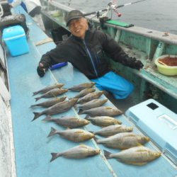 大進丸（愛知） 釣果