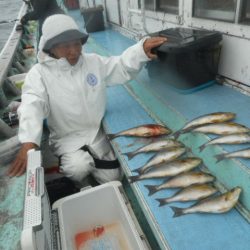 大進丸（愛知） 釣果