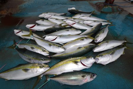 アジアマリンサービス 釣果