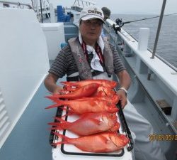 太郎丸 釣果