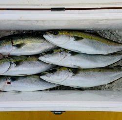 火遠理丸（ほおりまる） 釣果